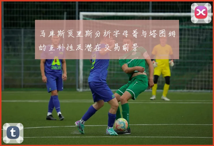 马库斯莫里斯分析字母哥与塔图姆的互补性及潜在交易前景