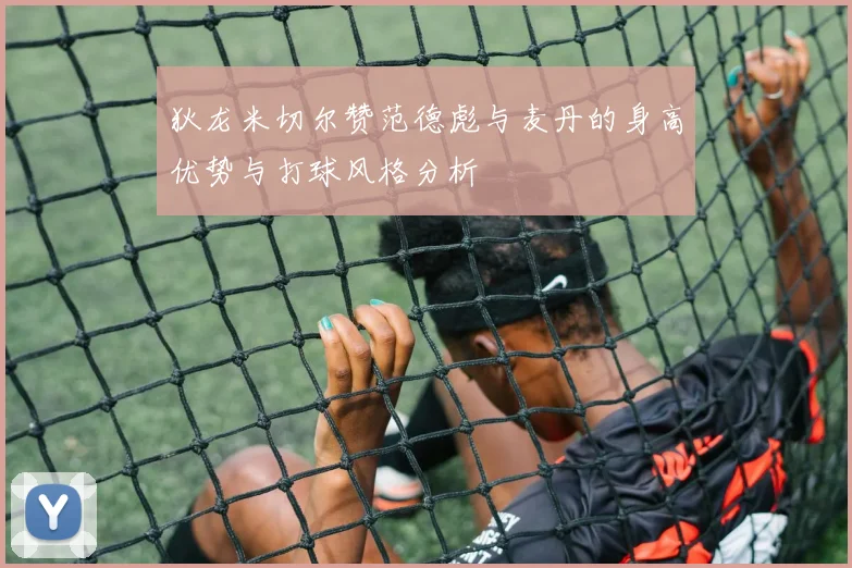 狄龙米切尔赞范德彪与麦丹的身高优势与打球风格分析
